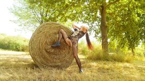 Hot Tangle of Flesh in the Straw