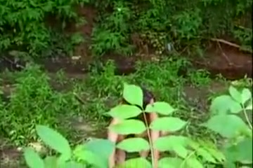 Hottest male in horny vintage, twinks homosexual adult movie