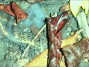Quick pushing cum out of ass and showing creampie on the ground outdoor