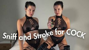 Sniff n Stroke for COCK