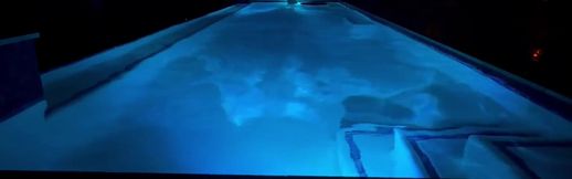 Anyone Else Play Fetch Naked in the Pool?