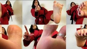 Karate Cock Crusher: ReMastered