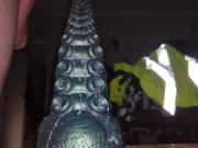 white kiwi bear gets Ika tentacle deep in ass closeup