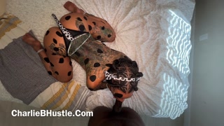 Breeding Dalmatians