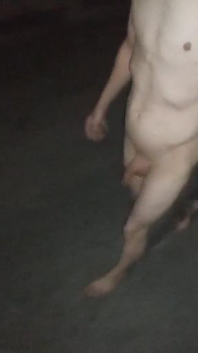 Leaving the House Totally Naked and Going for a Walk in Public