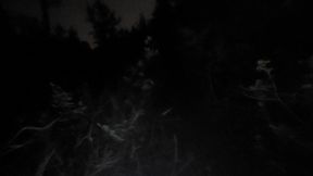 masturbating while oiled up in the rain on a nude beach at night