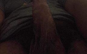 The Day and the Life of a BBC