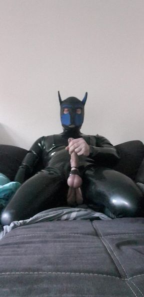 rubber puppy jerking off