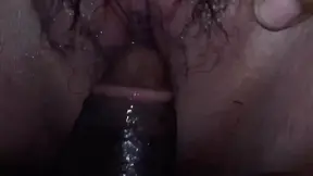 A Neighbor's Squirrel Is Trying To Steal A Neighbor's Porn