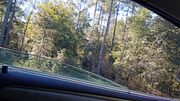 75 MILE TRIP TO MEET BEAUTIFUL NAKED PREGNANT SLUT AT BEACH!PART 1