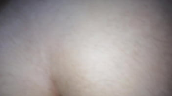 Peludita en cuatro