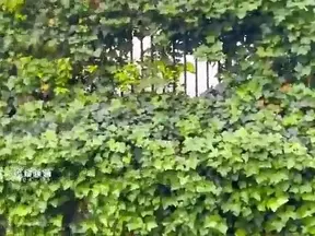 Seiko Mizuhara Exposes Her Secrets As A Naughty Teacher To Her Students