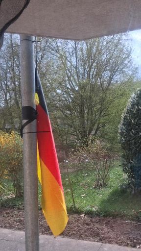 German Flag Nationality