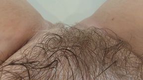 Hairy Wet Pussy Tour