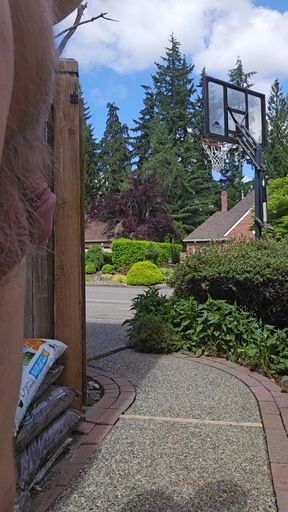 Looking Out The Gates
