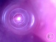 Endoscope Journey into My Deepest Intestines - Preview