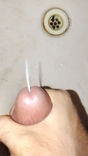 My hard cock want to cum inside your pussy or assI like to show you my masturbation  See my masturbation and follow me