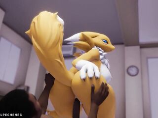 Renamon Fur Compilation: Volume 1