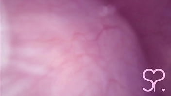 Fucked in my Pussy   Camera in my Bladder = Crazy Bulge!