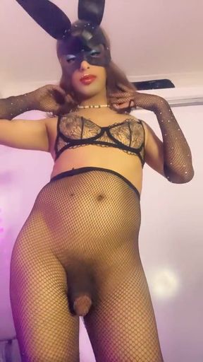 Bunny Sissy