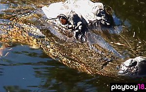 Naked badass babe Taylor Seinturier and her GFS visiting a gator farm