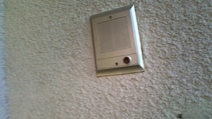 Zero Tolerance: Straight Sluts Swallow Cum