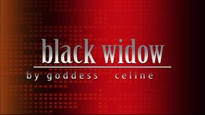 Black Widow Seduction