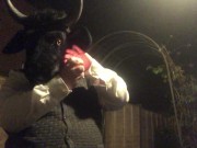 pipe bull clip
