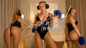 Seduced By The Cleaner