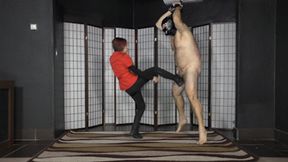 FULL HD Pained balls