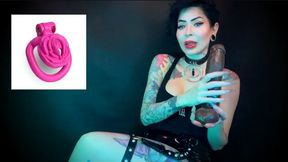 Locktobet task for sissies : Clitty Chastity and Big black cocks