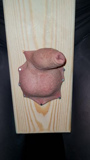 Cock and ball torture