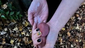 Handjobs To A Stranger In The Wood (MOV)