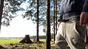 Hot Guy Starts to Jerkoff Outdoor