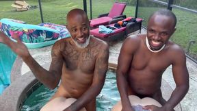 BBC Sharks in the Pool