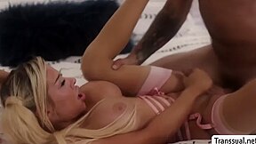 Busty Trans Woman Gets Rimjob And Analed By Her