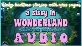 A Sissy in Wonderland, Chapter One