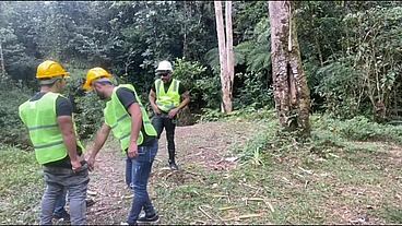 FALTOU MATERIAL NA OBRA E ESSES MACHOS FORAM TREPAR NO MATO - 01