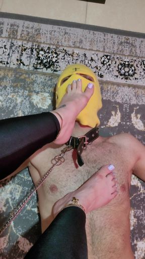 Goddess Foot Domination: Shoe Licking, Trampling &amp; Cruel Ballbusting