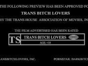 trans bitch in pink dress gets anal