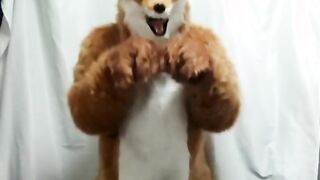 Man→Fox→Girl kigurumi transformation