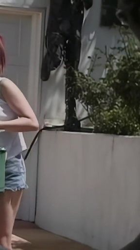 Blair Segal: Car Wash and Fuck Under the Sun