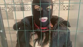🐾 caged & collared in black downjacket – blowjob, doggy & cum finish