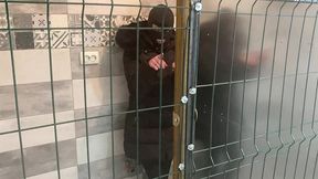 🐾 caged & collared in black downjacket – blowjob, doggy & cum finish
