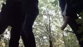Amateur girlfriend gets cummed in her mouth in a risky public forest