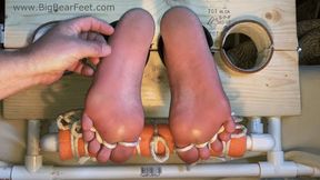 Tickle & Electro - size 13 wide feet tickled and electro punishment