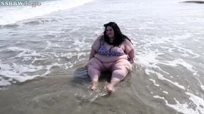 Publicly Fat at the Beach