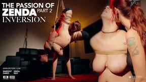 The Passion of Zenda Part 2: Inversion (1080)