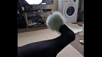 Nylons