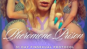 PHEROMONE PRISON. 31 DAY FINSEXUAL PROTOCOL [part 29]
